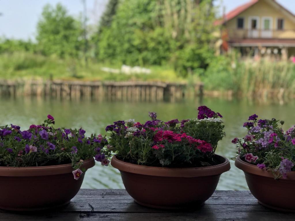 Agva Sweet Home River Hotel Zewnętrze zdjęcie