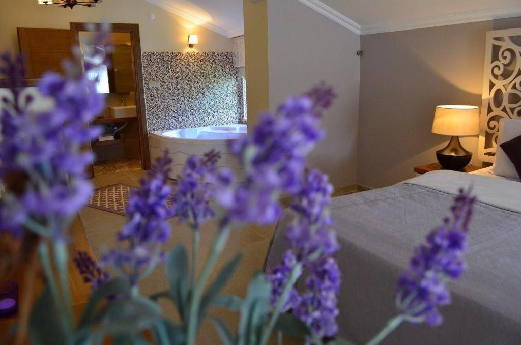 Agva Sweet Home River Hotel Zewnętrze zdjęcie
